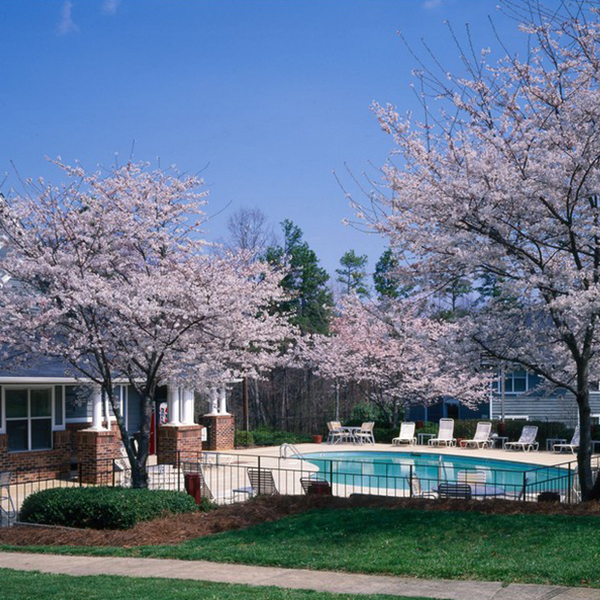 Argyle Apartments Harborview Capital Partners